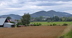 368_TZ60_P1130337_cr