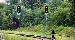 389_TZ60_P1130359_cr