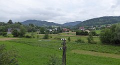 423_TZ60_P1130393_cr