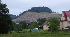 446_TZ60_P1130420_cr