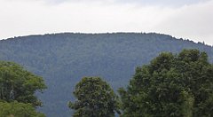 450_TZ60_P1130424_cr