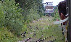 484_TZ60_P1130461_cr