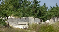 0377_TZ60_P1130778_cr