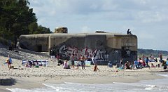 0485_TZ60_P1130855_cr