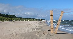 0201a_3D_P1100555_cr