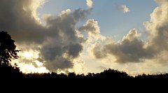 0008_TZ60_P1130879_cr