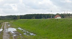 0068_TZ60_P1130915_cr