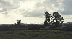 0079_TZ60_P1130925_cr