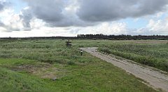 0094_TZ60_P1130935_cr