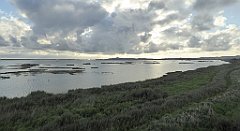 0106_TZ60_P1130942_cr