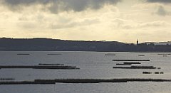 0117_TZ60_P1130956_cr