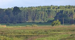 0142_TZ60_P1130986_cr