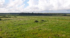 0180b_3D_P1100760_cr