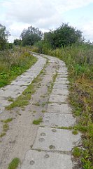 0213_TZ60_P1140032_cr