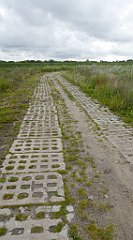 0215_TZ60_P1140034_cr