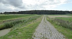 0218_TZ60_P1140037_cr