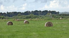 0221_TZ60_P1140040_cr