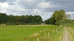 0255_TZ60_P1140060_cr