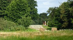 0256_TZ60_P1140061_cr