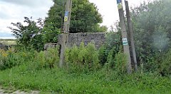 0268_TZ60_P1140067_cr