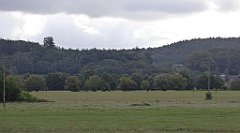 0289_TZ60_P1140079_cr