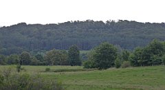 0291_TZ60_P1140082_cr