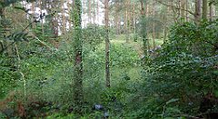 0295_TZ60_P1140087_cr