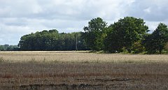 0352_TZ60_P1140107_cr