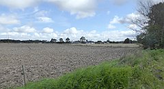 0384_TZ60_P1140120_cr