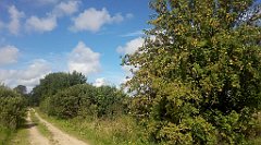 0396_A806_IMG_20160815_102158_cr