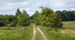 0418_TZ60_P1140129_cr