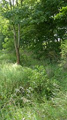 0432_TZ60_P1140132_cr