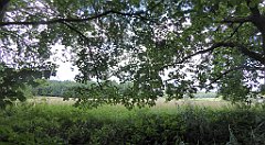 0501a_TZ60_P1140140_cr