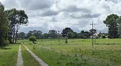 0517_TZ60_P1140141_cr