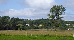 0523_TZ60_P1140147_cr