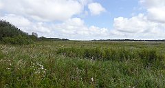 0532_TZ60_P1140156_cr