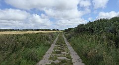 0536_TZ60_P1140160_cr