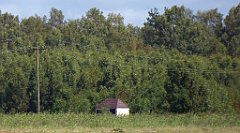 0540_TZ60_P1140164_cr