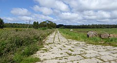 0544_TZ60_P1140168_cr