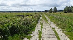 0550_TZ60_P1140174_cr