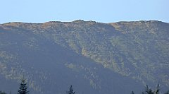 0010_TZ60_P1140206_cr