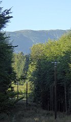 0027_TZ60_P1140222_cr