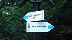 0032_TZ60_P1140227_cr