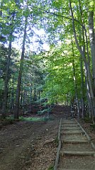 0052_TZ60_P1140234_cr