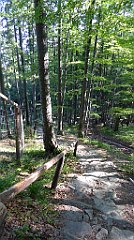 0053_TZ60_P1140235_cr