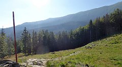 0080_TZ60_P1140255_cr