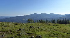 0095_TZ60_P1140268_cr