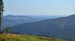 0097_TZ60_P1140270_cr