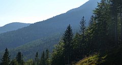 0103_TZ60_P1140276_cr