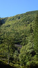 0148_TZ60_P1140296_cr